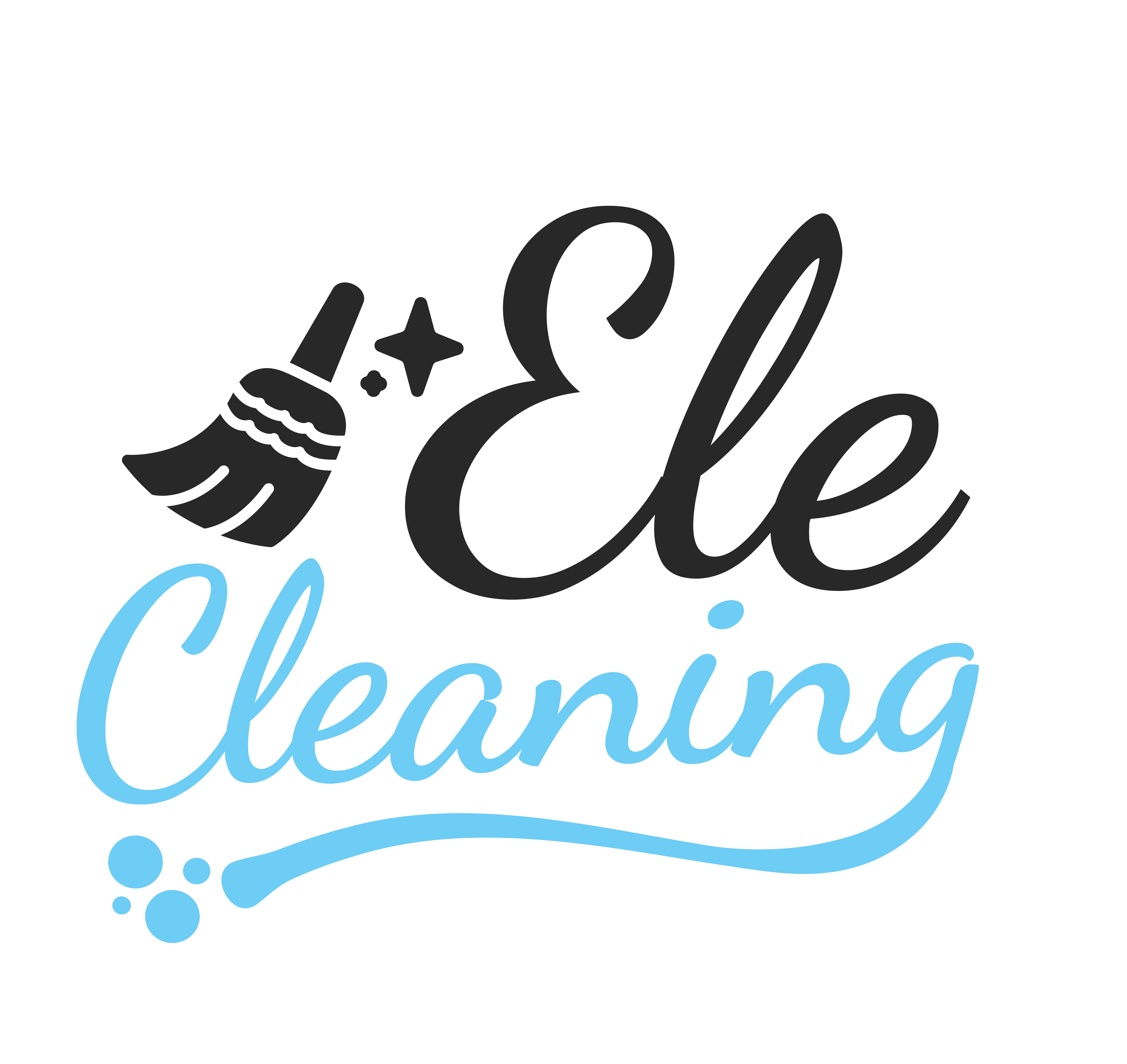 Ele Cleanings mock